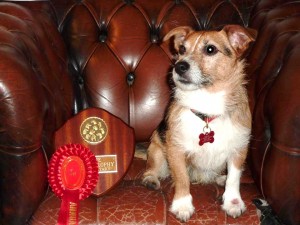 George with his Annual Comps shield and rosette 2010